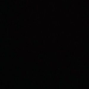 Meet your Posher, Taryn